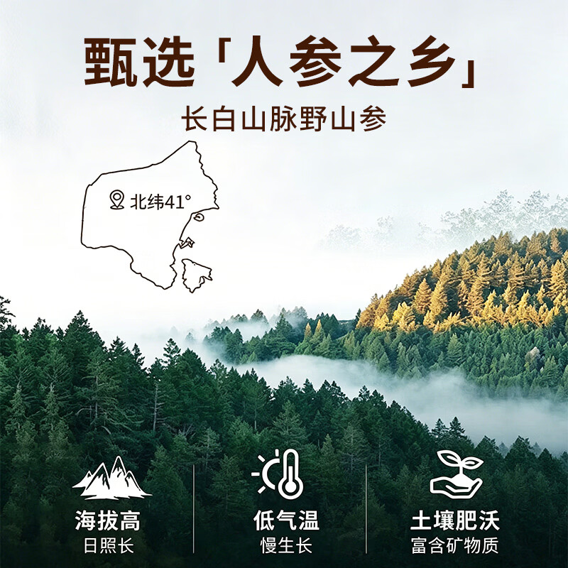 南京同仁堂人参粉野山参粉礼盒抗提神疲劳 研磨成粉礼盒老年人营养品礼盒 15年-野山参粉 30瓶*1盒