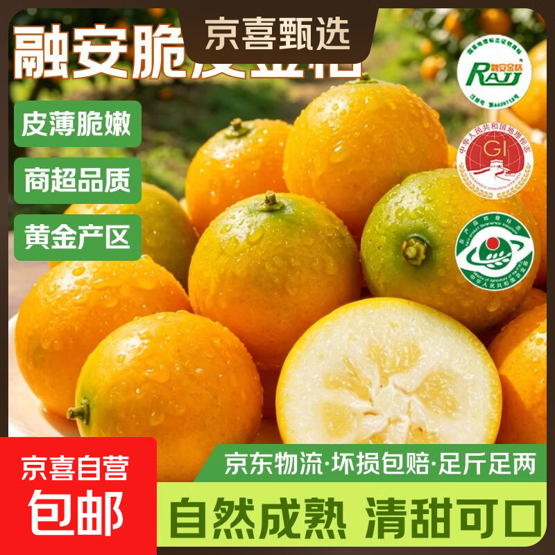 广西融安金桔当季新鲜水果柑橘脆蜜滑皮金柑年货送礼物产地直发 【6号果】净重3斤（分享装）