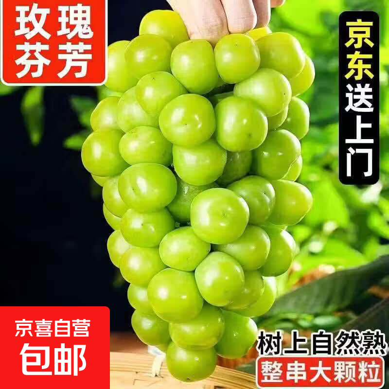 阳光玫瑰葡萄净3斤 25.9元 - 线报酷