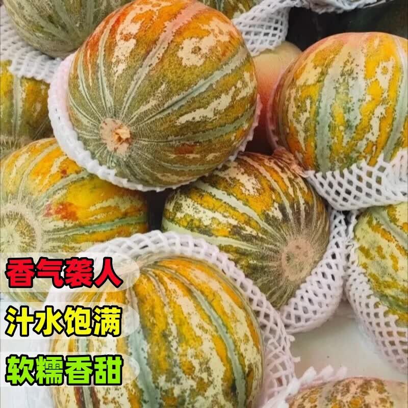 鲜雅堂新疆老汉瓜【顺丰空运-上门到家】火焰蜜瓜吐鲁番巴登金纹老汉瓜 4-5斤净重 【单个大果独享】