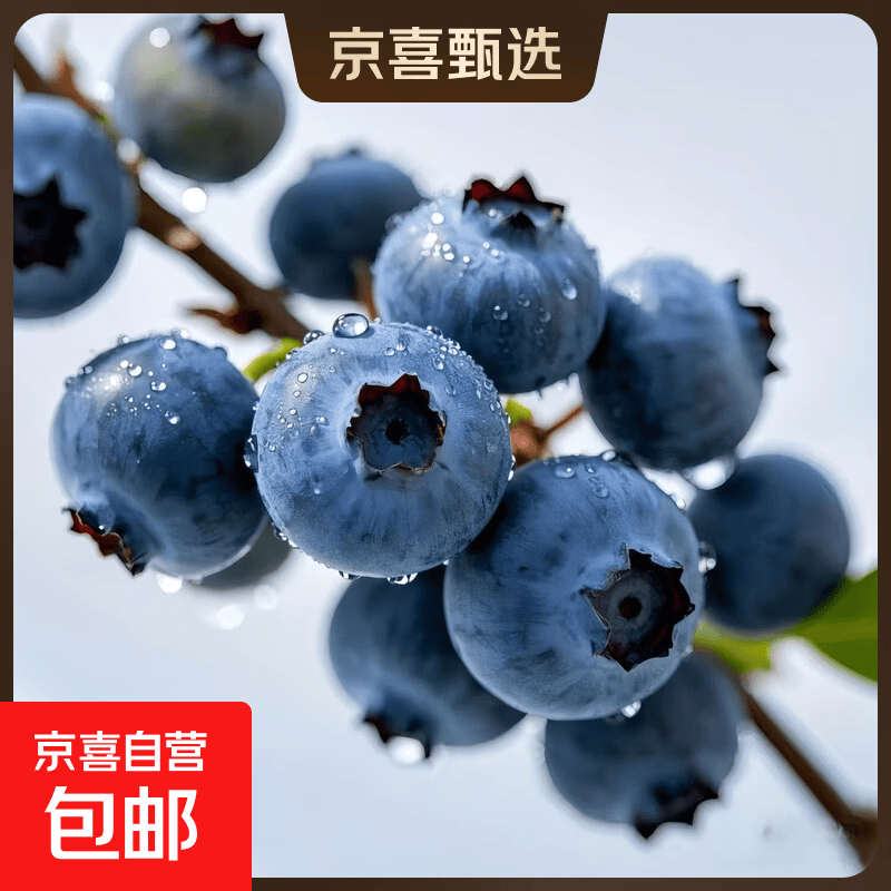 云南高原花香蓝莓L25基地直发现采现摘当季新鲜蓝莓健康水果吾彩 净重94g/盒*6盒 单果果径15mm+