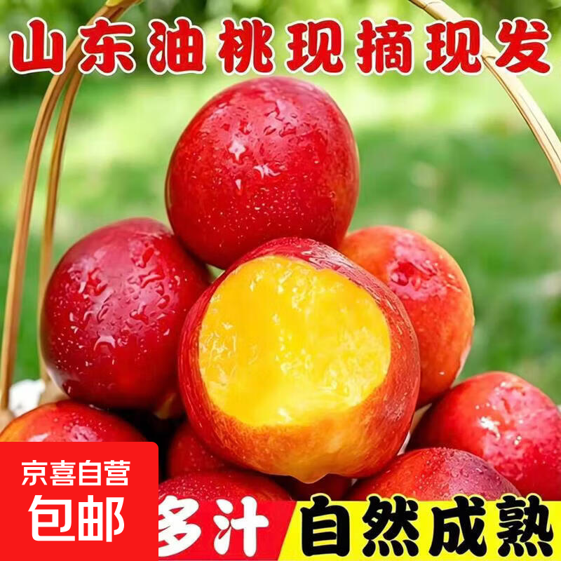 山东聊城油桃当季头茬黄心油桃孕妇水果黄肉脆甜多汁应季时令生鲜 山东油桃带箱3斤净重2.6斤(大果80g+)