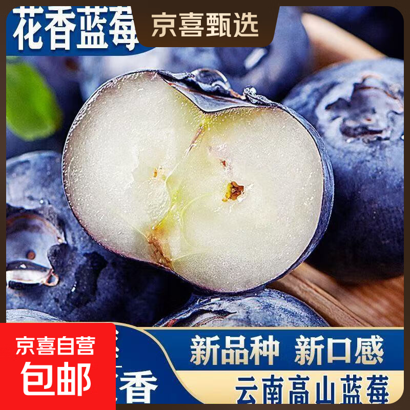正宗云南高原新鲜采摘蓝莓新鲜水果孕妇宝宝辅食花香蓝莓90-115g 蓝莓小果单果15mm+ 高原蓝莓热卖90-115g*2盒装