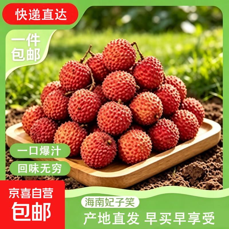 2026年头茬海南妃子笑荔枝当季水果新鲜现摘现发礼盒装 净重4.5斤 单果18g+