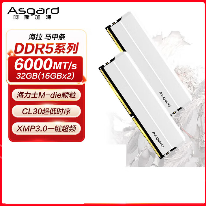 阿斯加特（Asgard）海拉DDR5-6000-32G C30 套装钛银甲内存台式机 海拉DDR5-6000-32G-C30 套装钛银甲