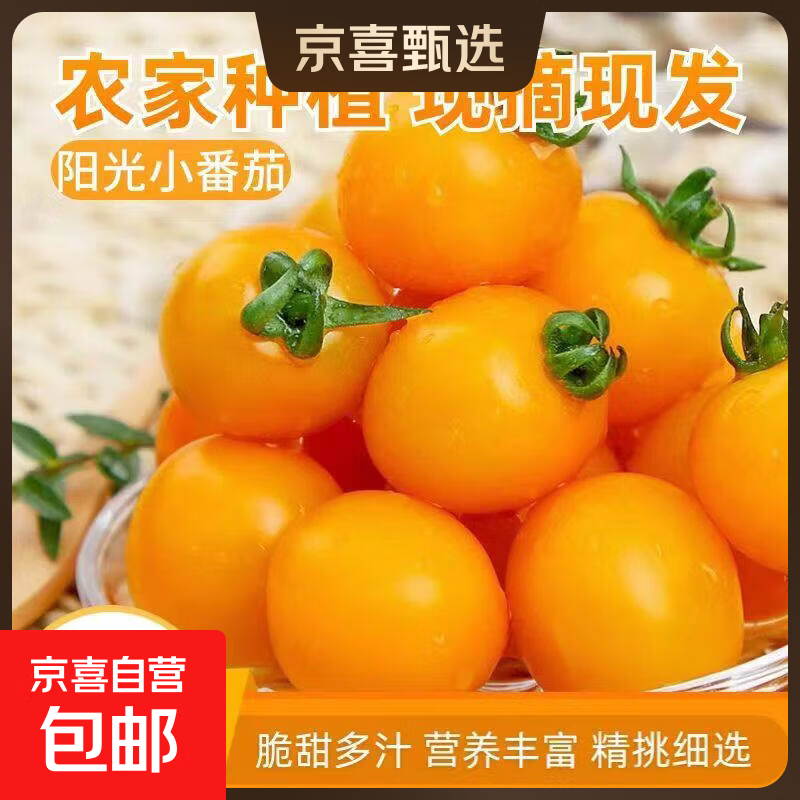 【春游必备】新鲜黄金圣女果生吃零食小番茄低卡减脂水果蔬菜买菜 精选新鲜 3斤 泡沫箱包装