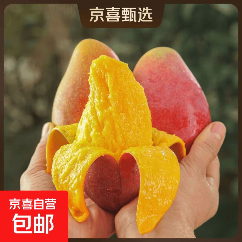 海南贵妃芒生鲜水果现货直发 带箱1斤50-100g