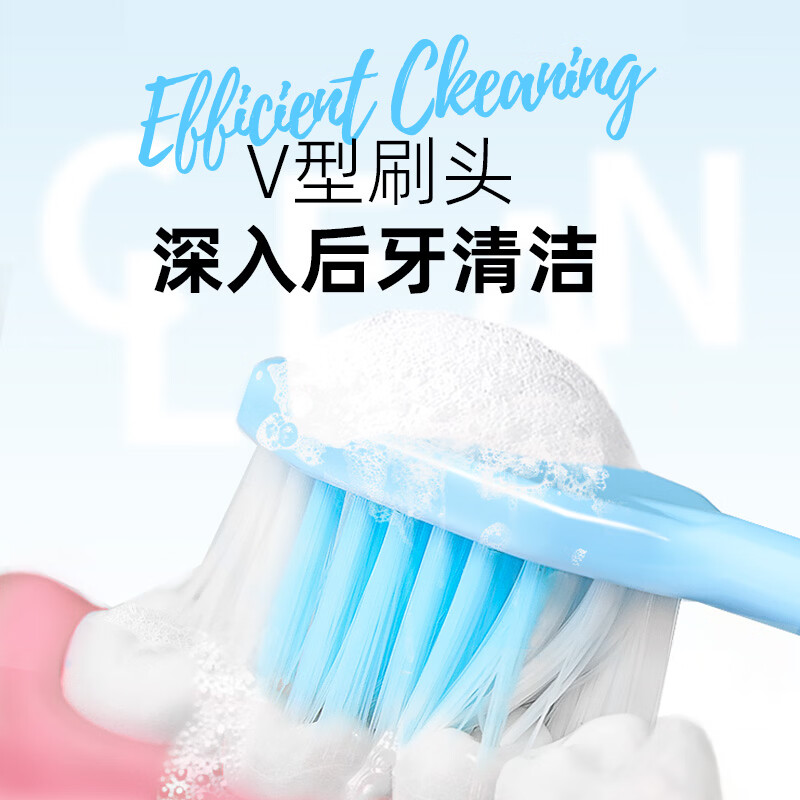 雷治（Dr.RAY）V型宽头软毛牙刷双层细丝设计护龈清洁家用家庭装后牙 宽头软毛家庭【颜色随机】 6支