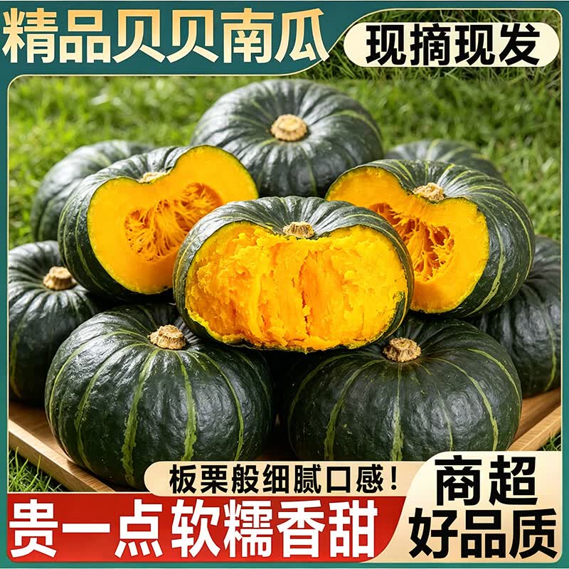 余悦正宗贝贝南瓜【现摘速发】板栗粉糯小南瓜宝宝辅食应季新鲜蔬菜 5斤 超值装【单果150-300g】