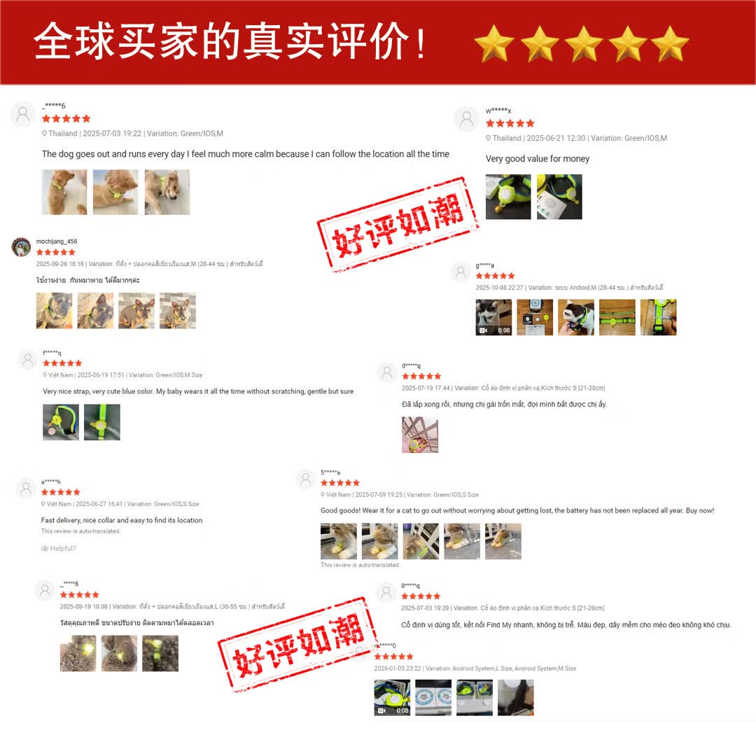 宠物定位器项圈 猫咪狗狗定位防丢失追踪神器 反光防水 1年续航 绿色 M码 28-44cm 苹果/安卓/鸿蒙通用版