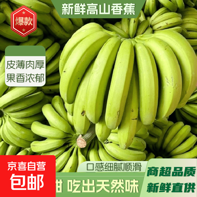 广西新鲜高山香蕉青果自然熟高山薄皮新鲜采摘纯天然软糯香甜 高山香蕉9斤