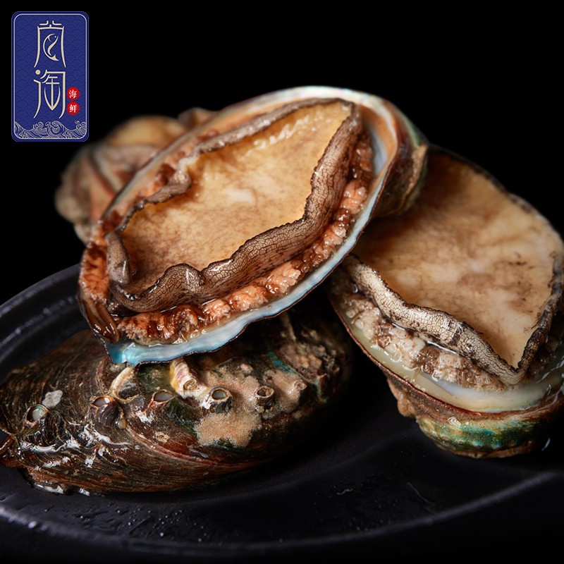 尚淘 东山岛活冻鲍鱼 500g 8头 多种规格鲍鱼 海鲜水产 火锅烧烤食材