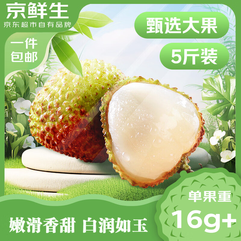 京鲜生 妃子笑荔枝净重5斤装 单果16-25g  新鲜水果 源头直发包邮