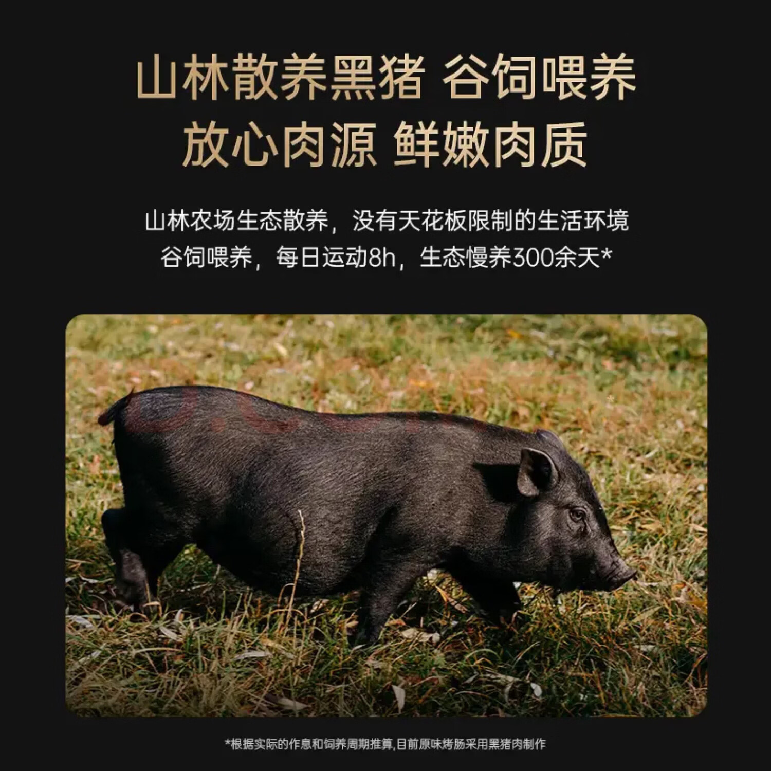 锋味烤肠 6盒装 锋味派烤肠谢霆锋爆汁烤肠 香肠肉肠热狗肠炸锅美食 原味2+黑椒2+芝士2