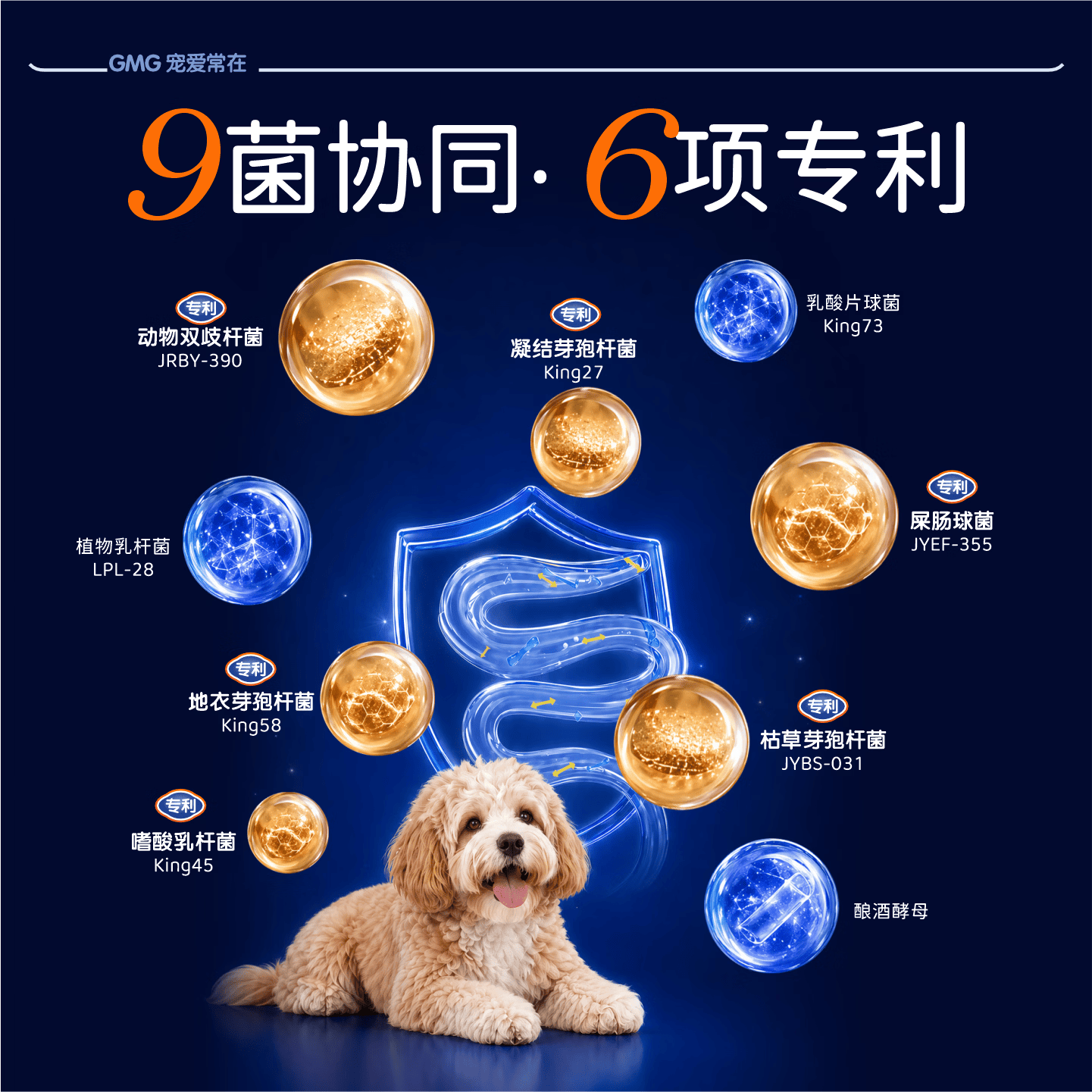 GMG猫咪狗狗活性益生菌宠物调理肠胃呕吐拉稀软便拉肚子腹泻 【调理肠胃】宠物高活性益生菌 猫狗通用 60粒*1瓶