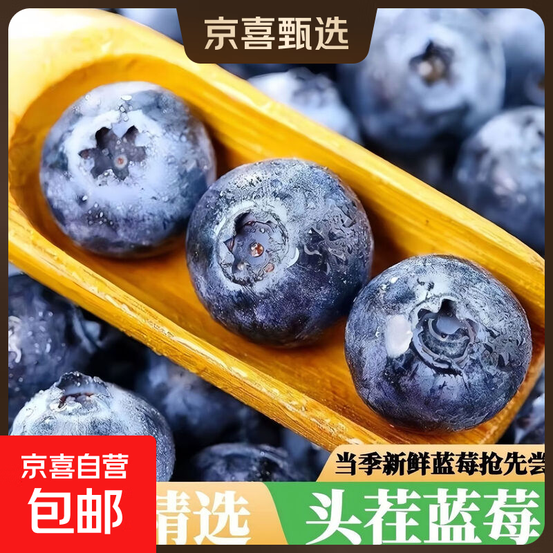 【京东包邮】正宗丹东蓝莓特大新鲜保甜宝宝水果孕妇辅食现摘新鲜 丹东蓝莓15mm+【8盒】（70g/盒）