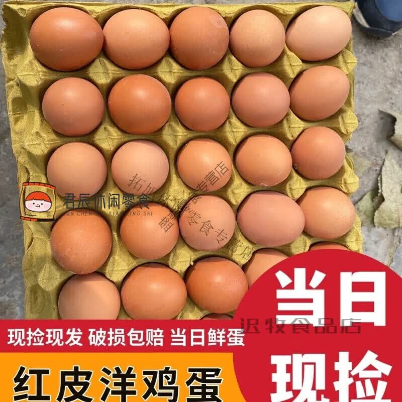 红皮鸡蛋大个无抗农家辅食月子蛋新鲜洋鸡蛋现捡现发健康营养 10枚新鲜红壳鸡蛋(坏了拍照包赔)