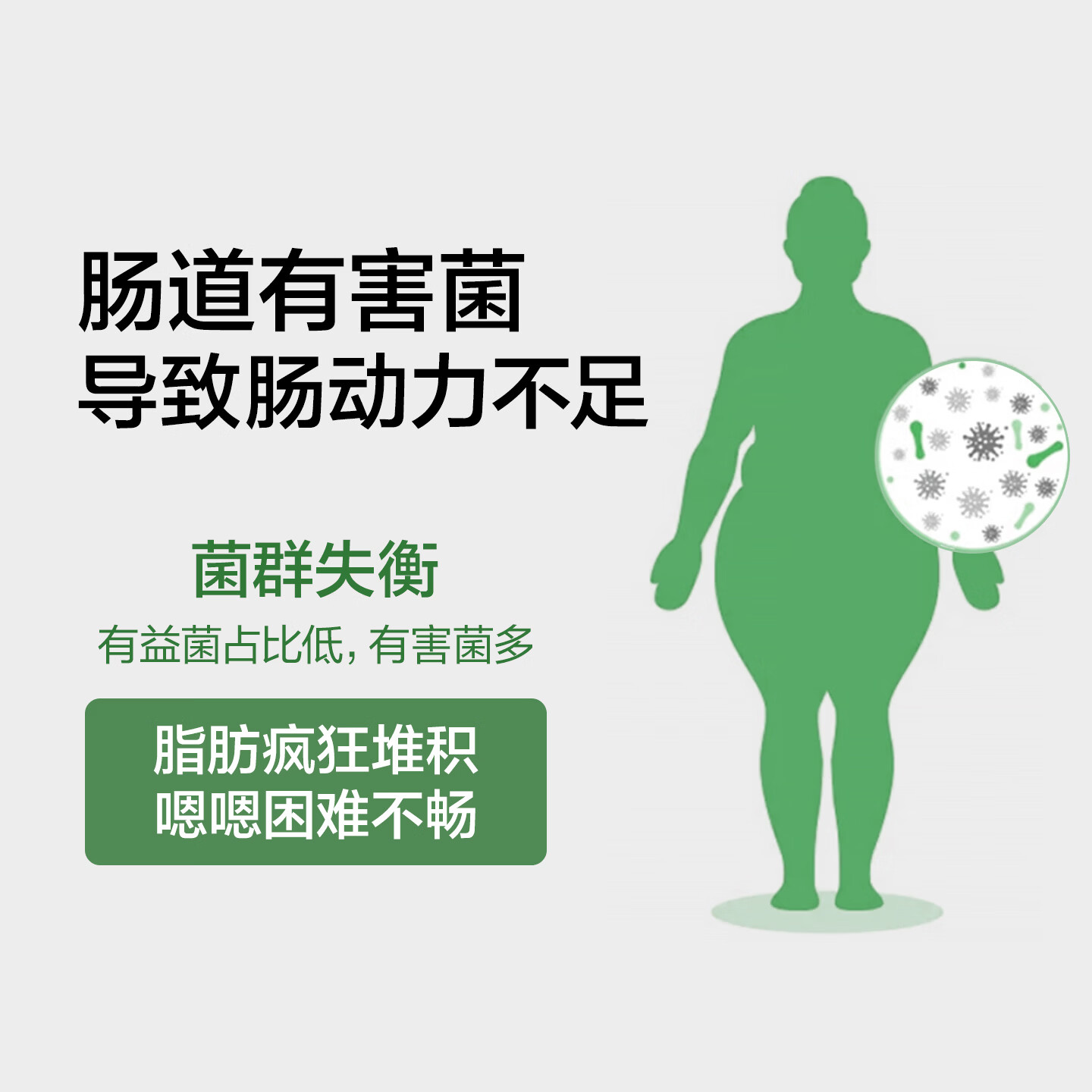 WEBIO【肠道通畅 噗噗顺畅】微蓓儿三生元PQQ益生菌粉固体饮料20g*12袋