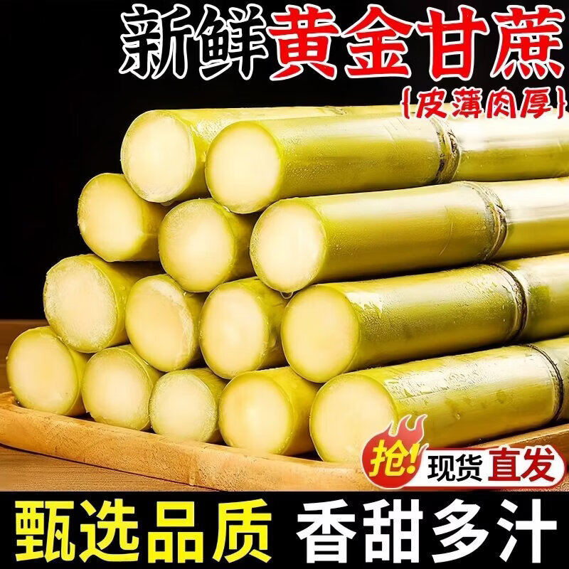 甘蔗新鲜云南黄金甘蔗9斤当季新鲜脆甜黄皮甘蔗中段热 4500g 精选中段 脆甜多汁