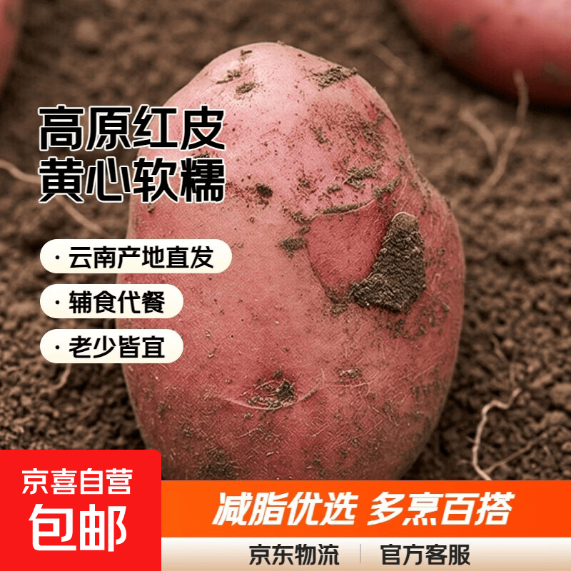 【真便宜】云南红皮土豆高原黄心土豆马铃薯红皮黄心洋芋减脂蔬菜 净重9斤大果 【单果150g+】