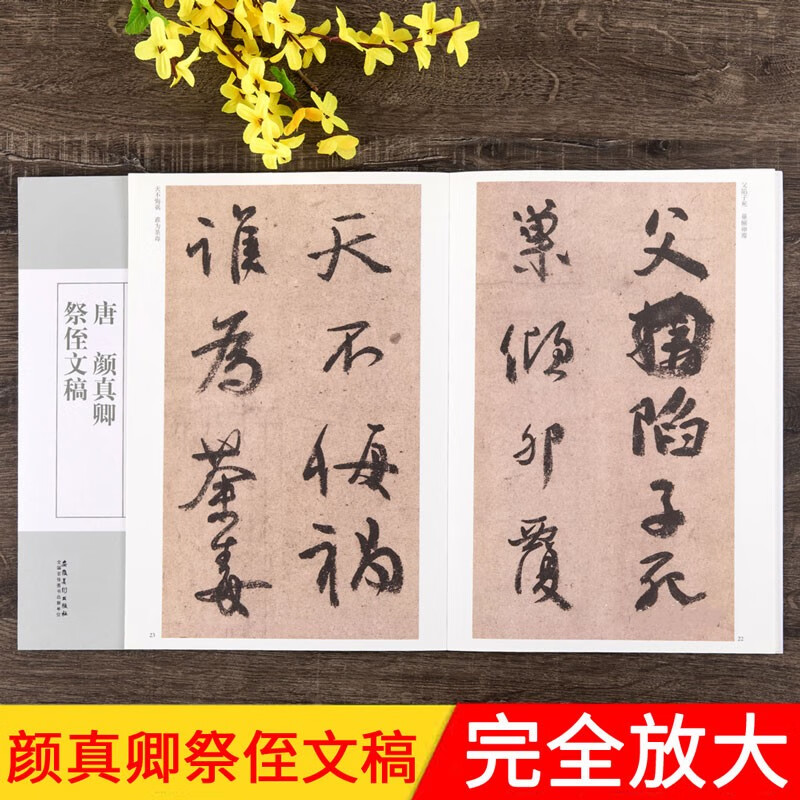 颜真卿祭侄文稿 唐 历代碑帖经典单字放大本 附简体旁注 毛笔行书碑帖全文放大书法字帖 安徽美术出版社