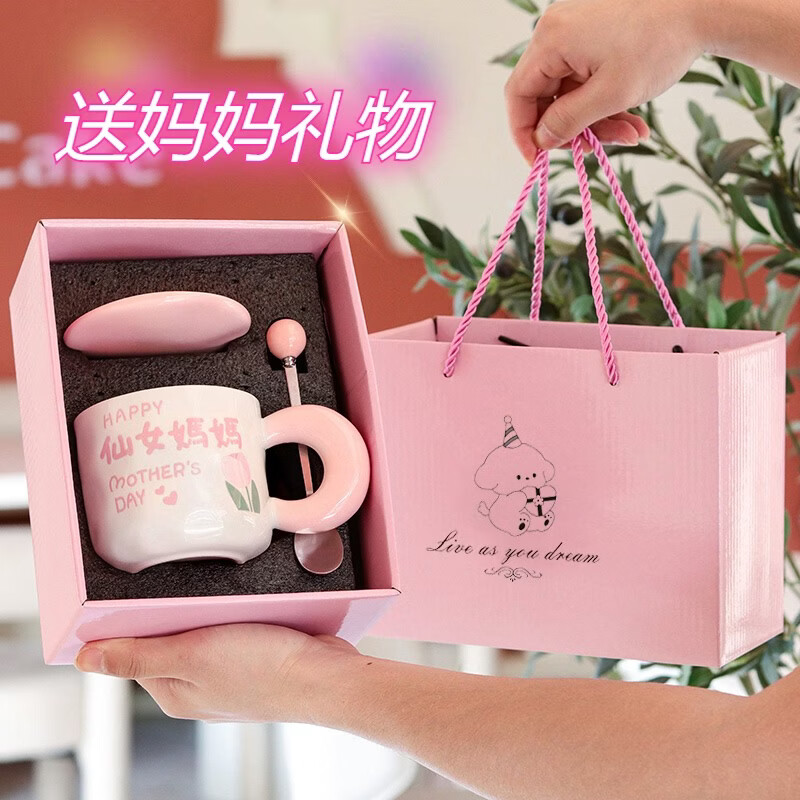 溥畔母亲节礼品送妈妈生日礼物马克杯礼盒装高颜值暖心妇女节实用套装 [普通装]无图案单杯