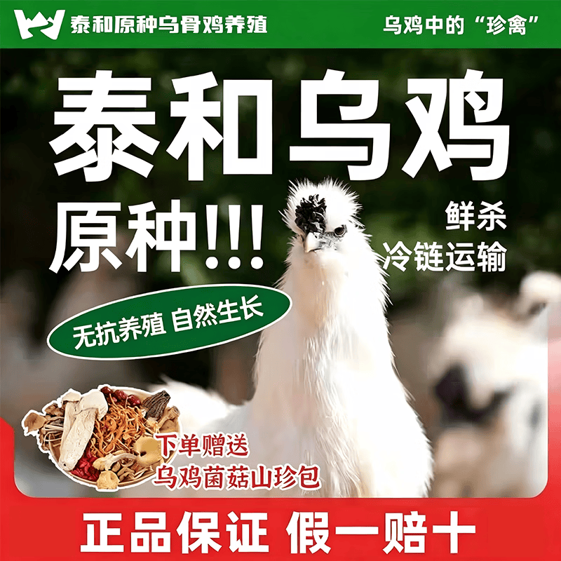 泰和原种乌鸡整鸡现宰现发农家五谷散养走地鸡山鸡真空包装滋补 660g