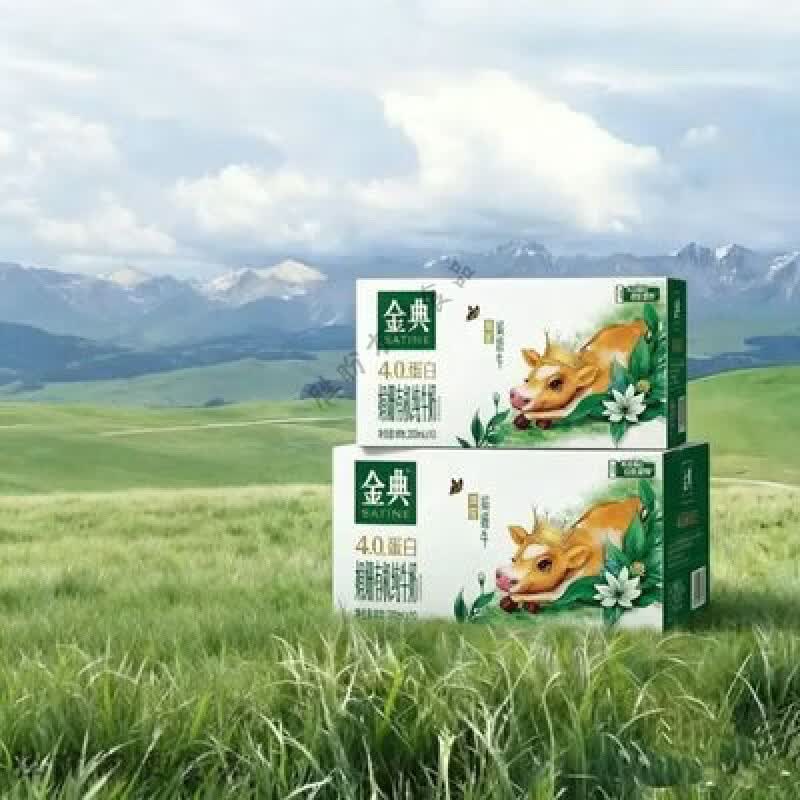 伊利金典娟姗4.0有机纯牛奶 新货伊利蛋白质纯牛奶200ml*10盒*2箱 2月新货伊利金典娟姗限定4.0蛋白质纯牛奶200ml10盒2箱