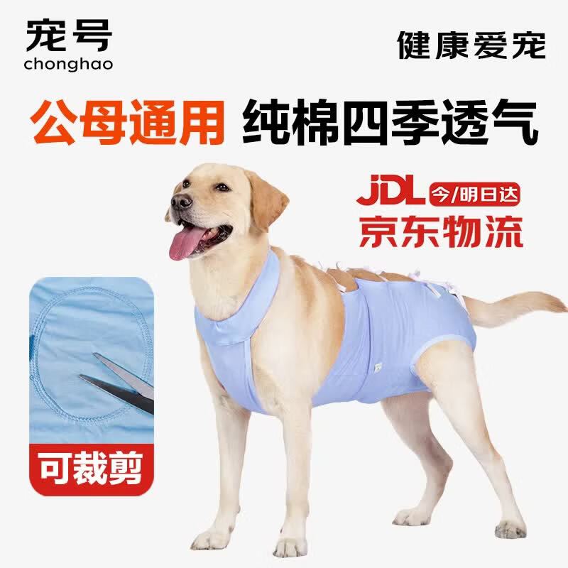 宠号狗狗绝育服四脚衣手术服断奶衣服小中大型犬金毛柯基泰迪比熊 蓝色（四季纯棉 公母通用） XL 建议40-60斤
