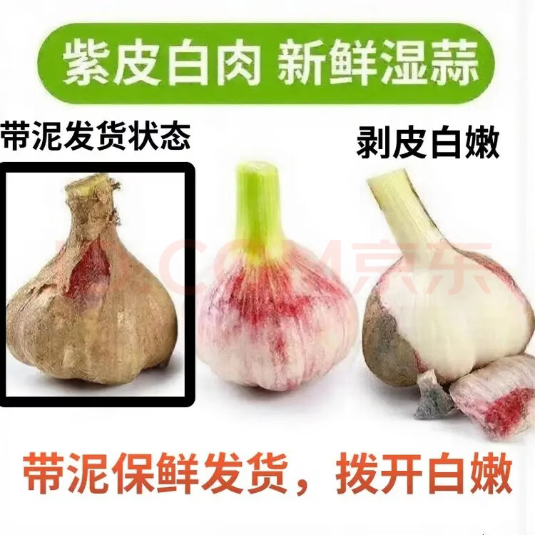 仙果春天2026年正宗新鲜大蒜头 现挖湿蒜新蒜紫皮大蒜生鲜蔬菜可做糖醋蒜 新鲜带泥鲜蒜 3斤