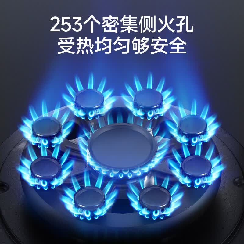 Haotaitai燃气灶天然气单灶一级能效家用煤气灶猛火灶具 天然气12T 【如需液化气联系客服】 210A【猛火灶】