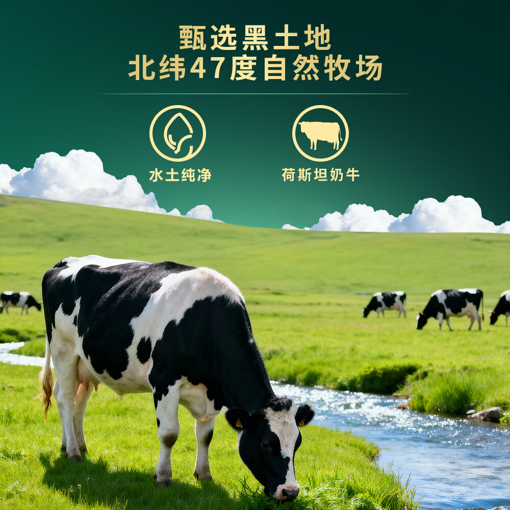 太子乐（Taizile）挚恩较大婴儿配方奶粉2段(6-12个月婴幼儿适用）400g 400g/听
