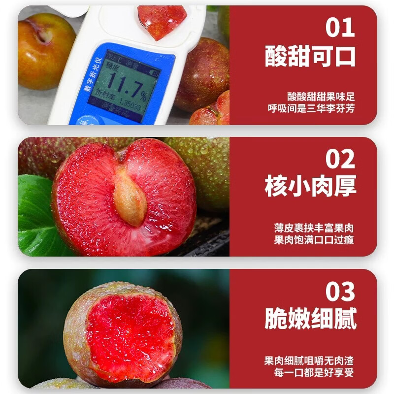 信宜钱排银妃级2斤装三华李红心甜辣酸脆(脆:冷藏;甜:常温) 净重2斤(尝鲜装贵在运费) 大果(一斤15个左右)