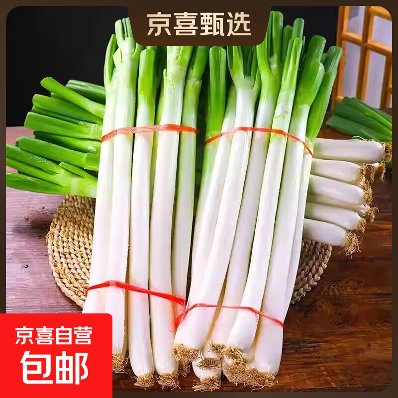 山东大葱新鲜9斤装甜葱铁杆大葱非章丘长白毛葱蘸酱嫩葱批发便宜 山东铁杆大葱-带脏皮去半叶【带箱5斤净重4.5斤装】