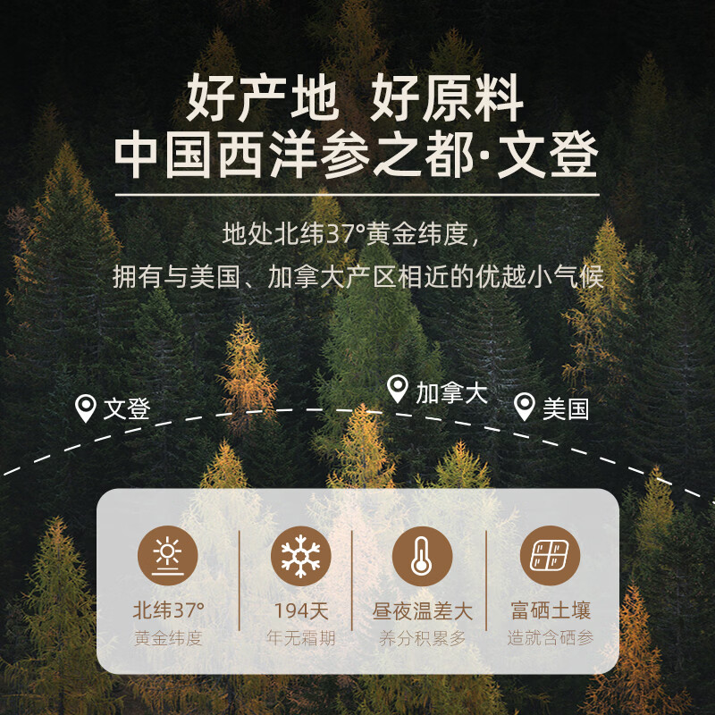 中甄道地西洋参礼盒滋补营养品文登西洋参片斜切高皂苷花旗参礼品送长辈 斜切摆片道字礼盒 150g*1盒 西洋参