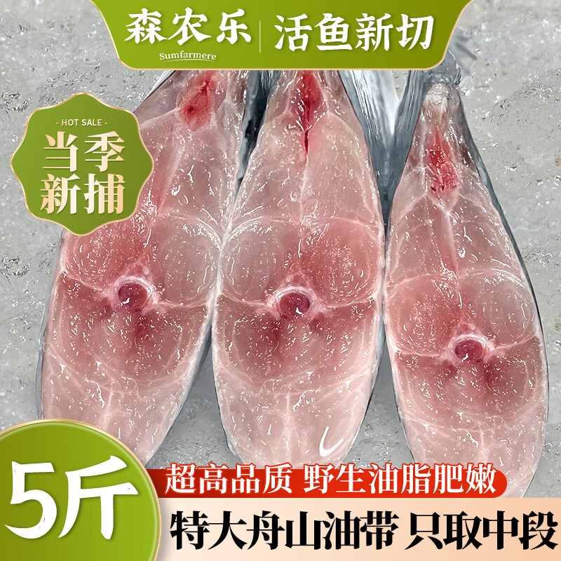 森农乐舟山带鱼段大号纯中段特大生鲜冷冻野生新鲜海鲜水产刀鱼去头去尾 净重5斤高品质【肉多肥厚中段】