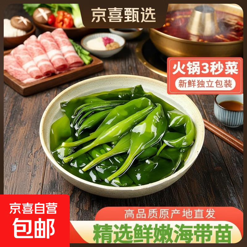 霞浦新鲜盐渍精选原料海带苗凉拌脆嫩翠绿爽滑脆嫩煲汤火锅食材 100g