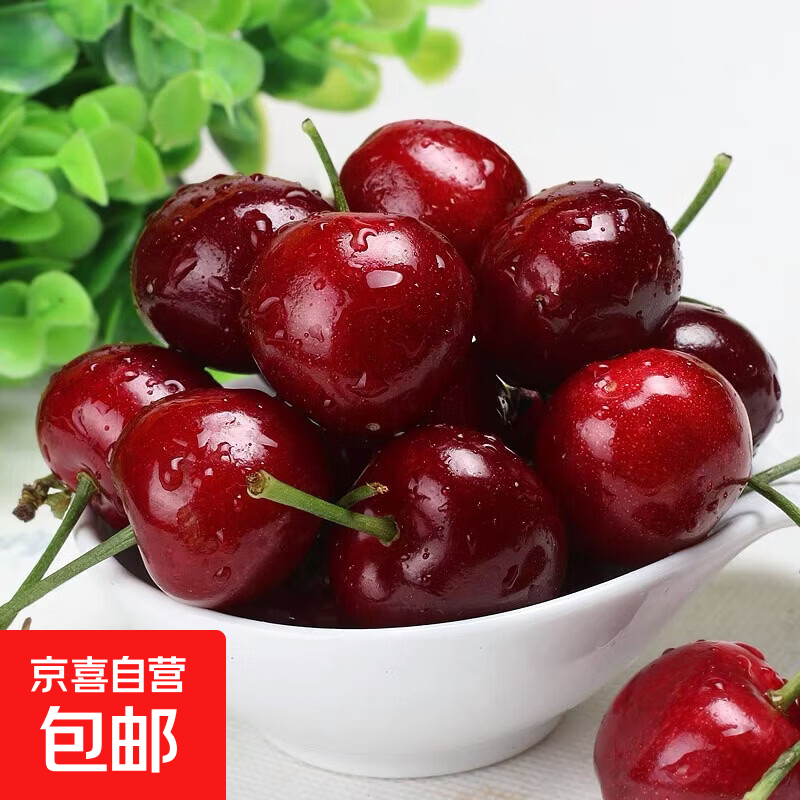 【送到家】烟台大樱桃新鲜山东水果新鲜好吃现摘现发 2.5斤(净重) 整箱3斤 22mm-26mm中果