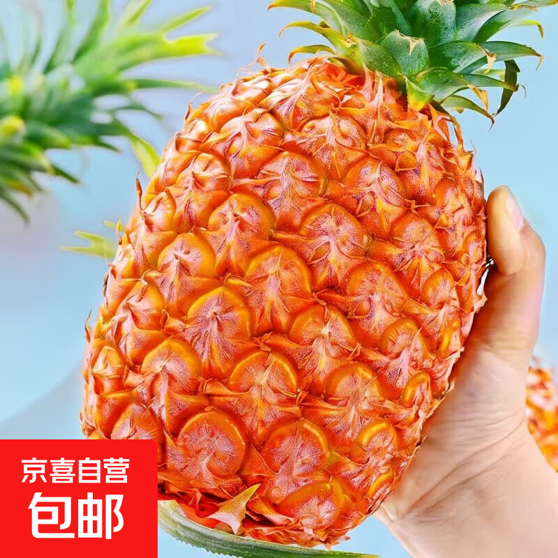 海南金钻凤梨新鲜现摘甜水果即食天地盖礼品盒5斤装整箱批发包邮 单果0.8-1.3斤 1粒