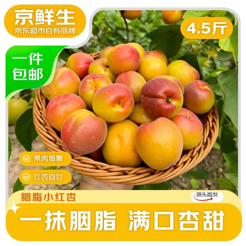 京鲜生山西胭脂红杏净重4.5斤 26.2元 - 线报酷