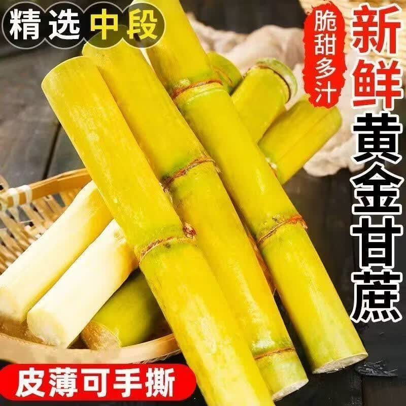 甘蔗新鲜正宗云南黄金中段水果当季榨汁脆甜爆甜现甘蔗 3斤