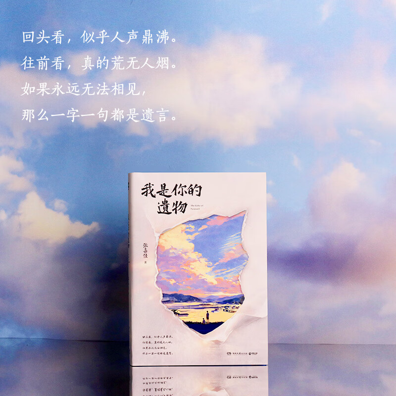 我是你的遗物 张嘉佳2026全新小说