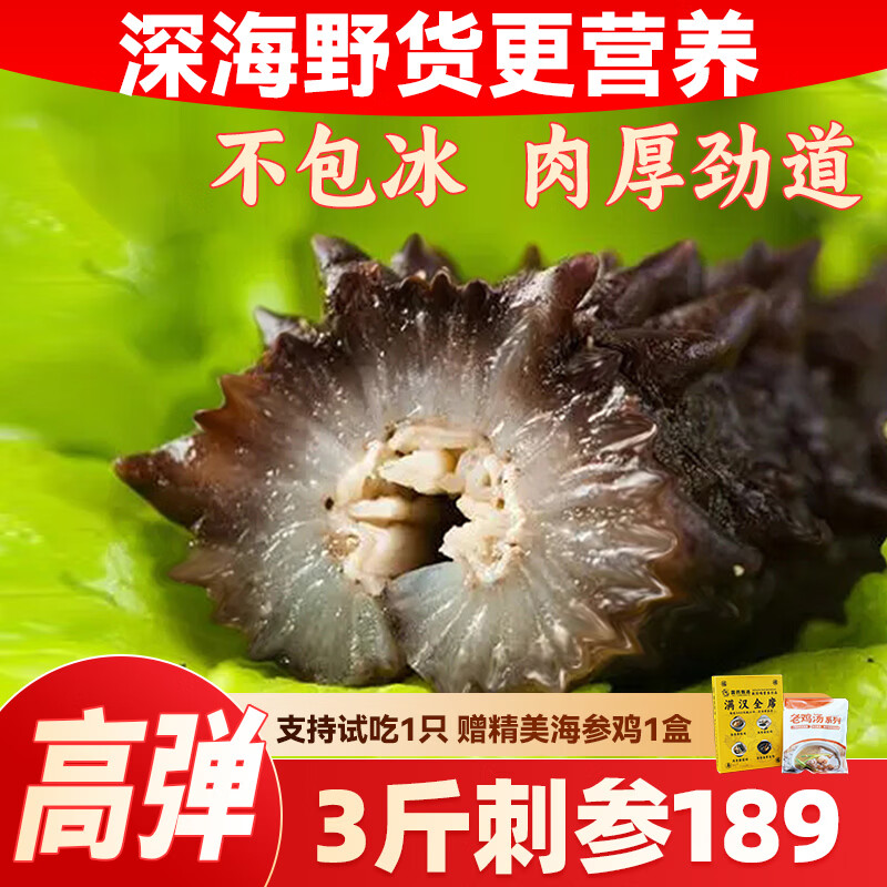 亿鲜笙鲜蒸即食海参鲜活加工端午礼盒大连辽刺参中老年滋补高营养海参 13-20只/斤【深海捕捞野货特筋道】 2斤装