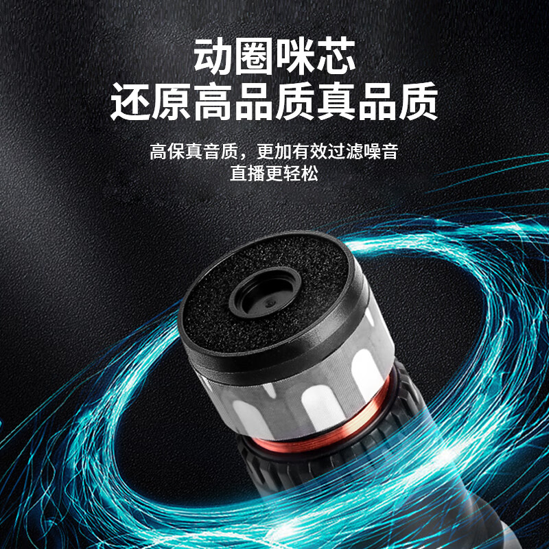 飞利浦(PHILIPS)DLM3035C自带声卡麦克风一体机无线话筒主播专用直播间户外手机平板直播设备防风降噪无线麦混响 3035C声卡麦无线版【手机和音响接收器+无线耳机