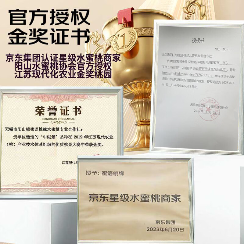阳山水蜜桃无锡阳山 新鲜水果时令桃子礼盒 源头直发包邮端午节送礼 单果3-4两12个礼盒装净重3.6斤多 甄选一级果-绿色食品