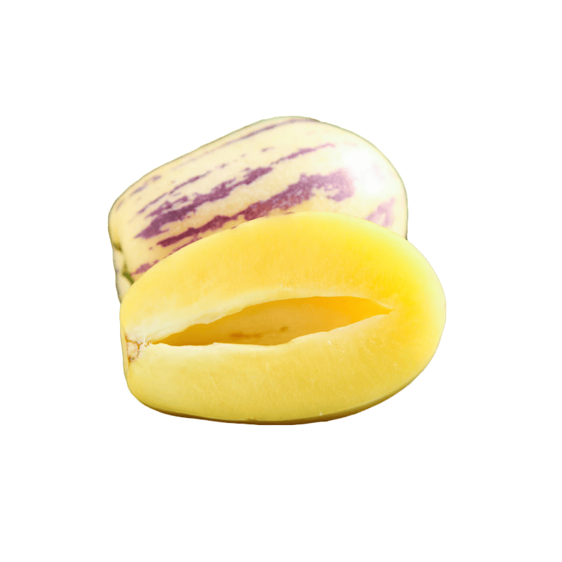 ���� ���������������˲ι� ����3�� ����100g+ ��� 16.9Ԫ