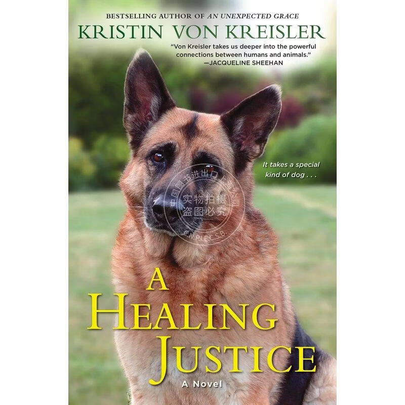 预售 A Healing Justice 企鹅兰登