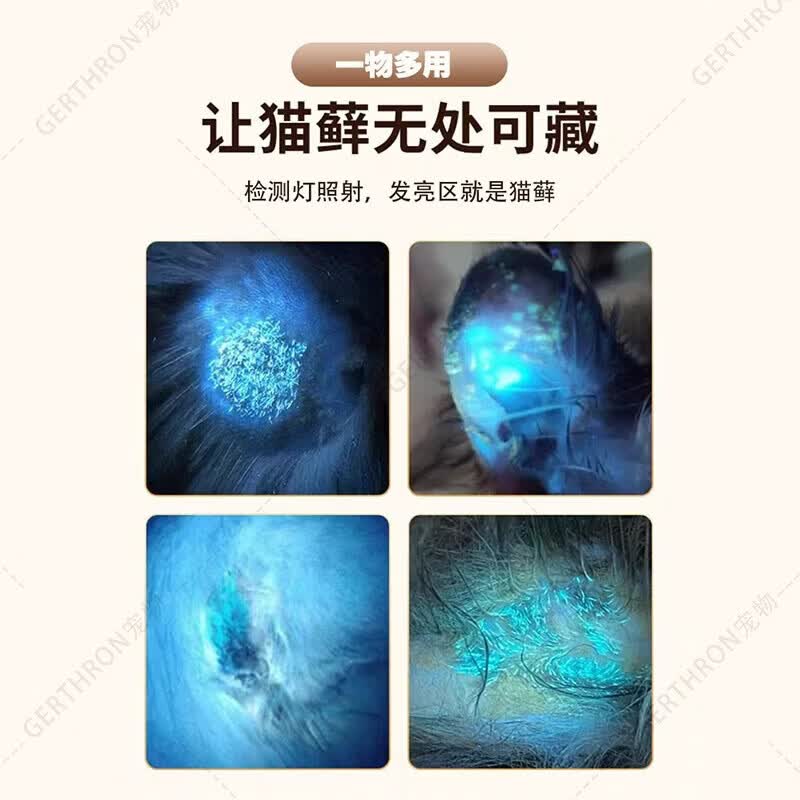 GERTHRON德国猫藓灯激光笔逗猫棒猫玩具逗猫神器自嗨解闷小猫幼猫消耗体力 【伍德氏猫藓灯】小白盒 5种图案 USB充电