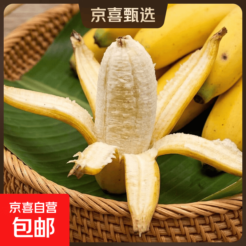 京喜加广西小米蕉自然熟新鲜水果现摘香蕉芭蕉苹果蕉当季香甜粉糯现摘 带箱2斤