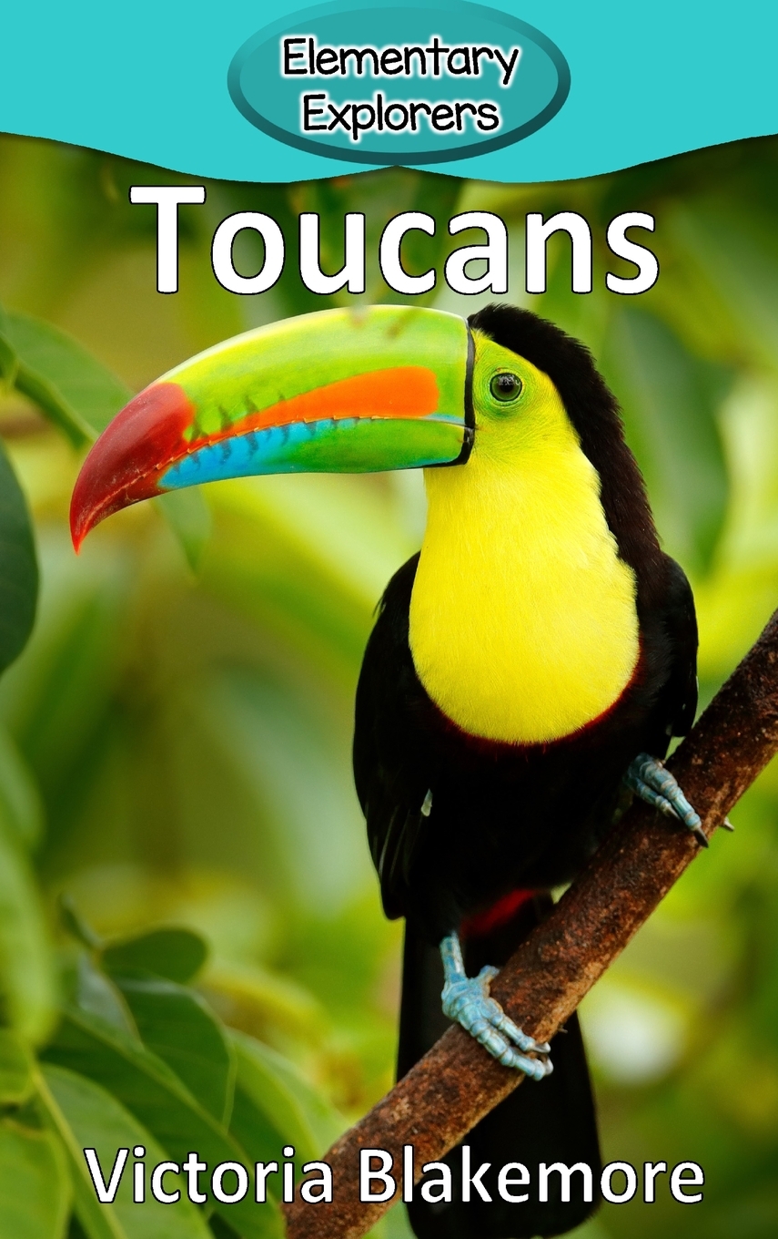 预售 按需印刷 toucans